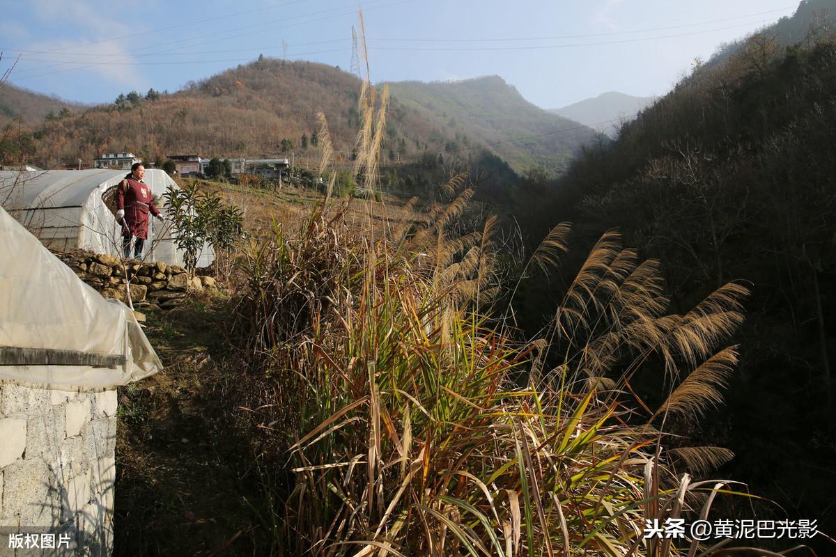 夜爬秦岭遇难情侣穿常规外套没背包,深层策略执行数据_特别款63.34.17