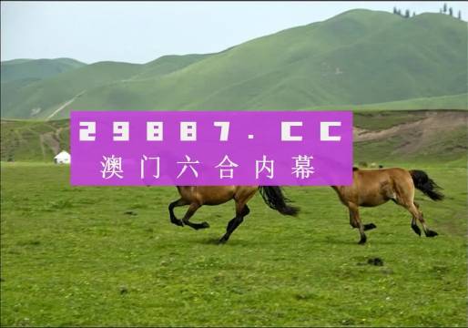 澳门彩龙门客栈图资料,实地执行分析数据_战斗版59.35.94