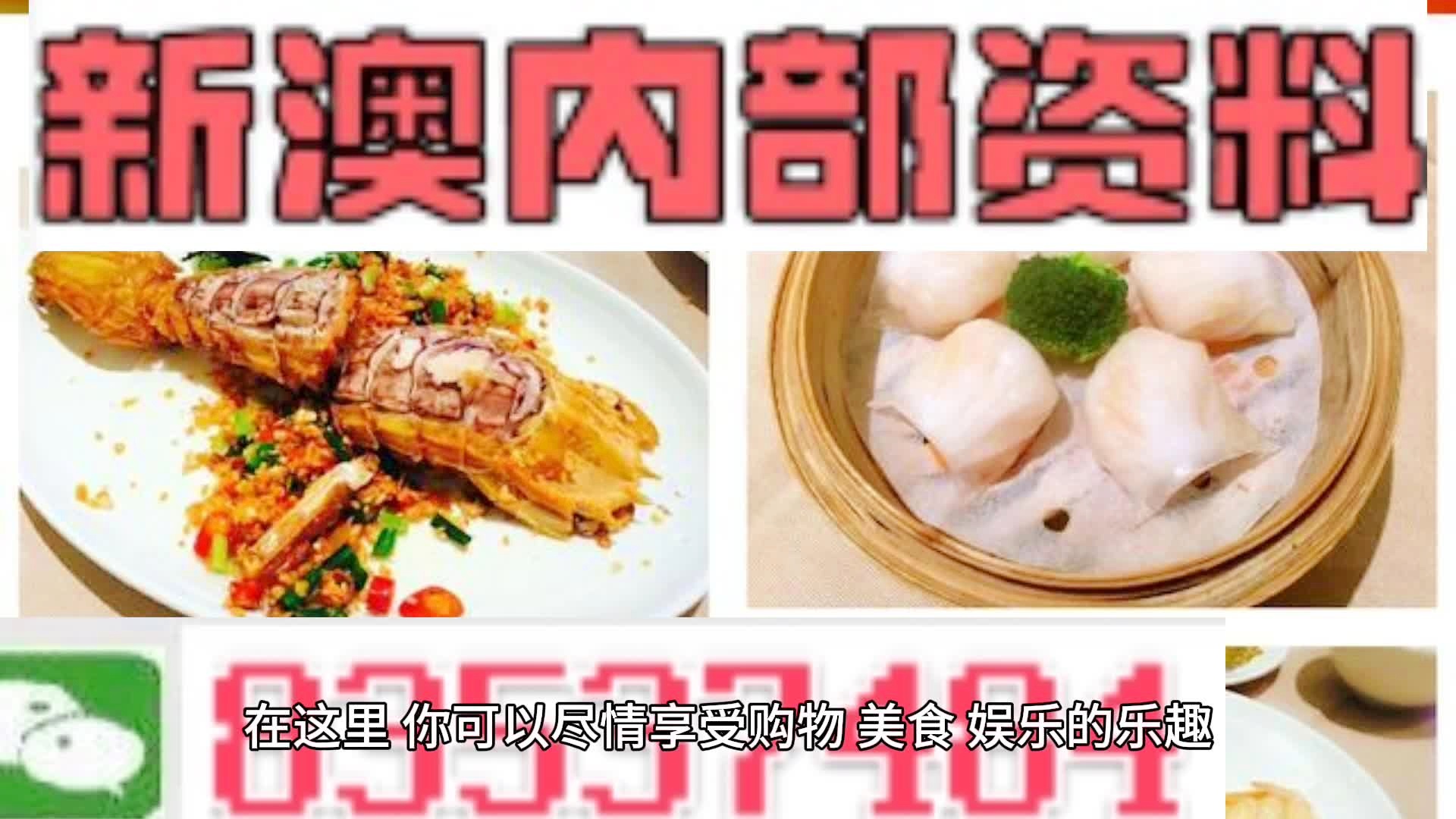 2024王中王资料大全公开,互动策略评估_精简版84.24.72