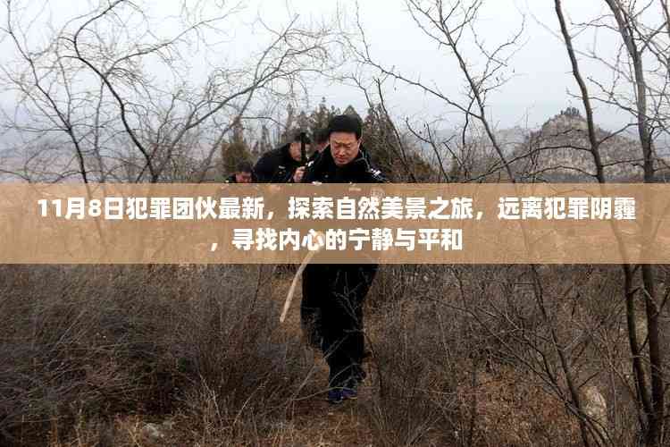 探索自然美景之旅,远离犯罪阴霾,寻找内心的宁静与平和(最新犯罪团伙报道)