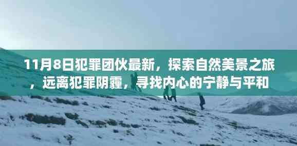 探索自然美景之旅,远离犯罪阴霾,寻找内心的宁静与平和(最新犯罪团伙报道)