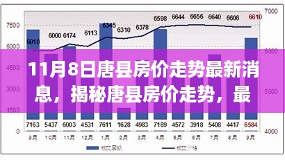 风驰电掣 第17页