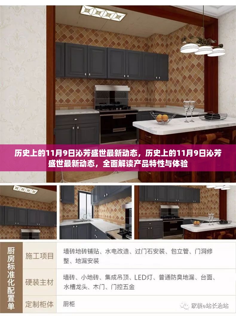 历史上的11月9日沁芳盛世揭秘，产品特性与体验全面解读