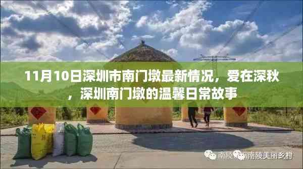 深圳南门墩深秋温馨日常,爱在深秋的最新篇章