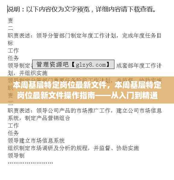 本周基层特定岗位最新文件及其操作指南,入门到精通指南