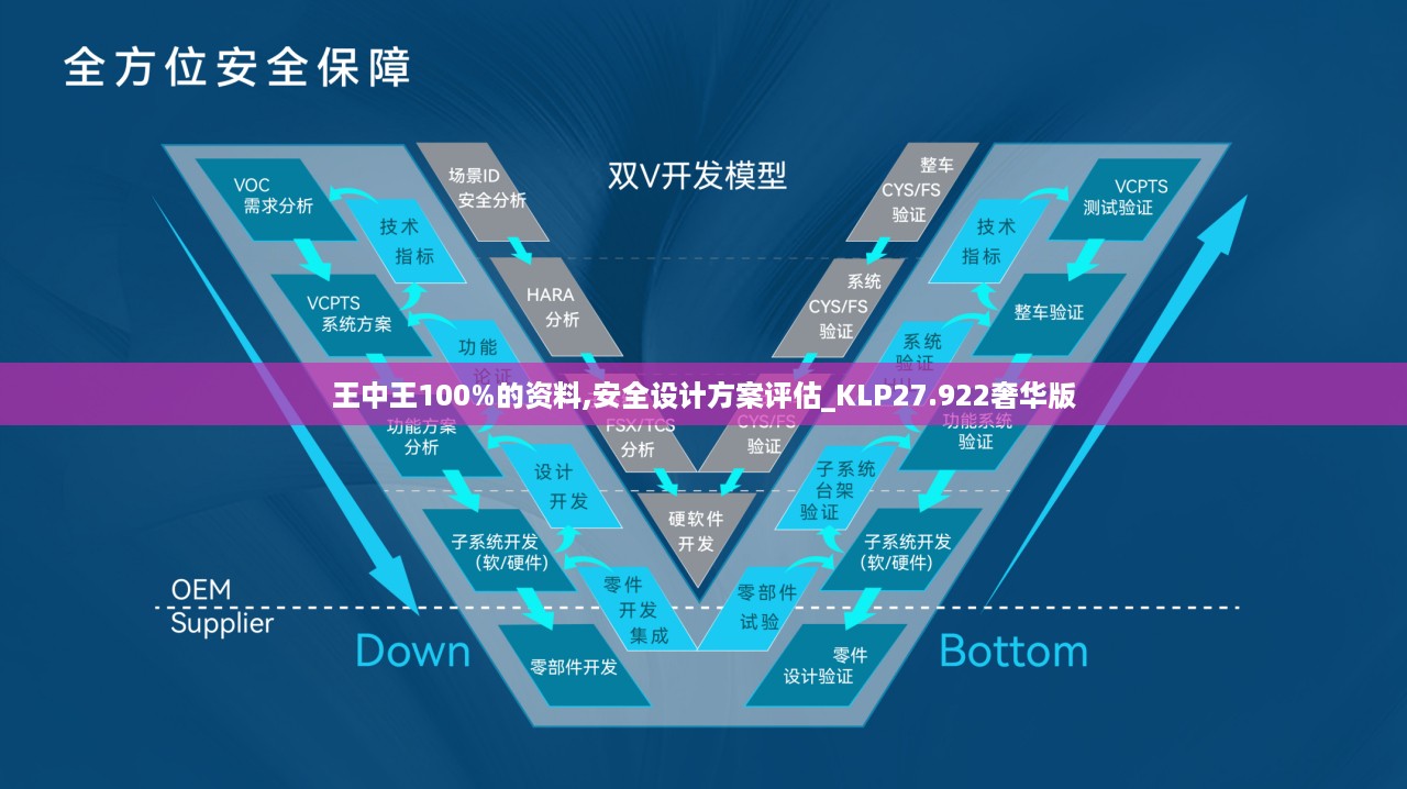 baichiwuzhi 第12页
