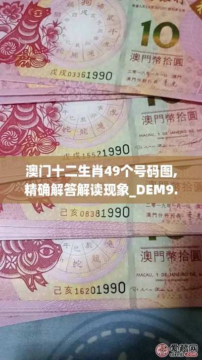 澳门十二生肖49个号码图,精确解答解读现象_DEM9.24.91简便版