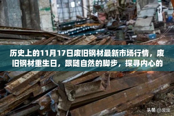 探寻内心的宁静之旅，废旧钢材市场行情与重生日纪实，11月17日观察报告