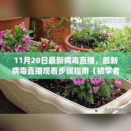 容光焕发 第10页
