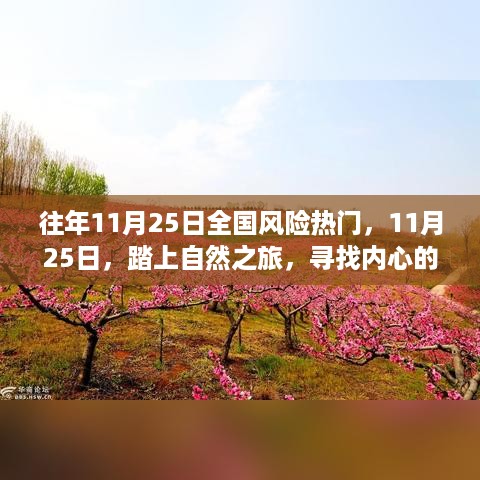 puzhanglangfei 第8页