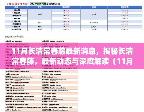 揭秘长清常春藤，最新动态与深度解读（月度更新）