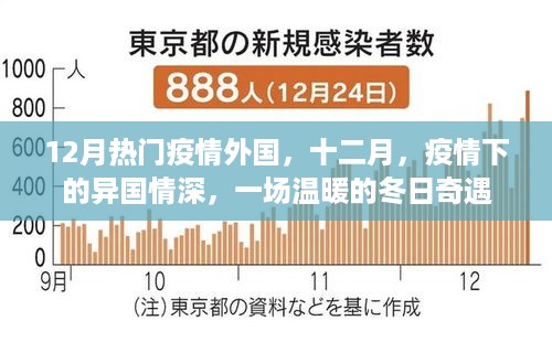 十二月疫情下的异国情深，冬日奇遇的温暖篇章