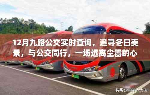 冬日公交之旅,追寻美景的心灵之旅,九路公交实时查询
