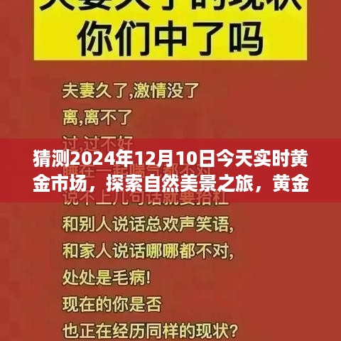 2024年12月10日，黄金市场的启示与自然美景的心灵交汇之旅