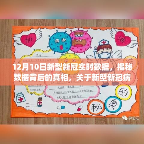 公证管理 第478页