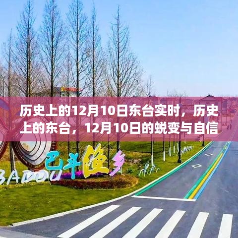 公证管理 第458页