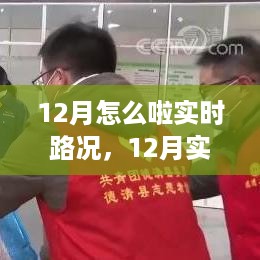 城市流动观察报告，揭秘12月实时路况解析与动态变化