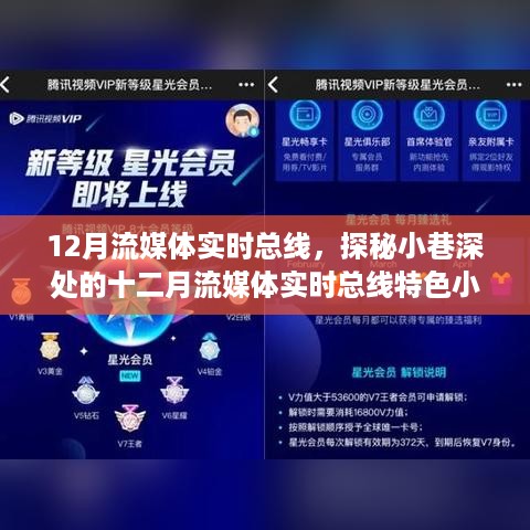 取证 第393页