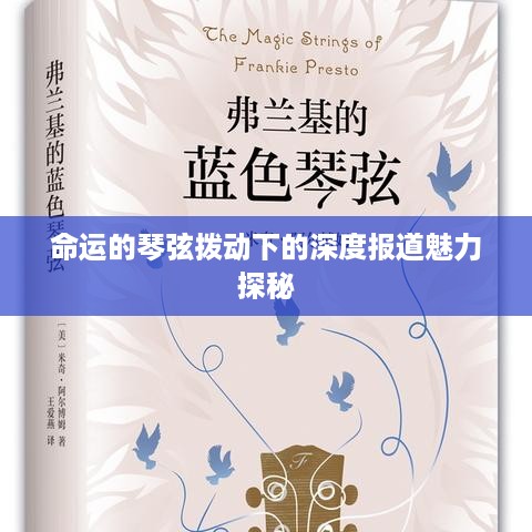 命运的琴弦拨动下的深度报道魅力探秘