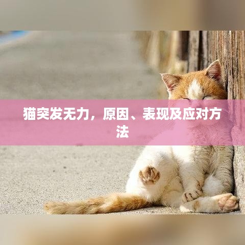 存证 第389页