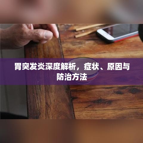 取证 第380页