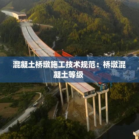存证 第365页