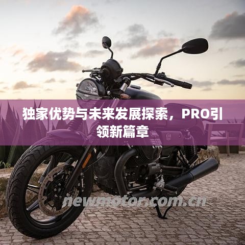 独家优势与未来发展探索，PRO引领新篇章