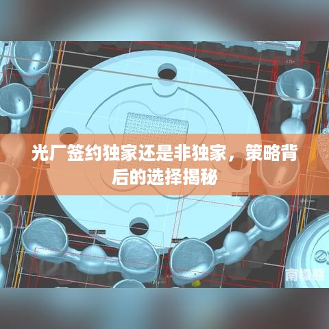 光厂签约独家还是非独家，策略背后的选择揭秘