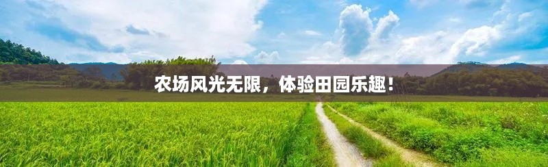 农场风光无限，体验田园乐趣！