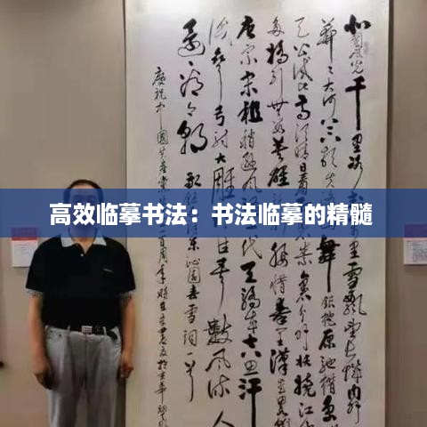 高效临摹书法：书法临摹的精髓 
