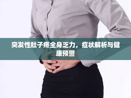 公证管理 第277页
