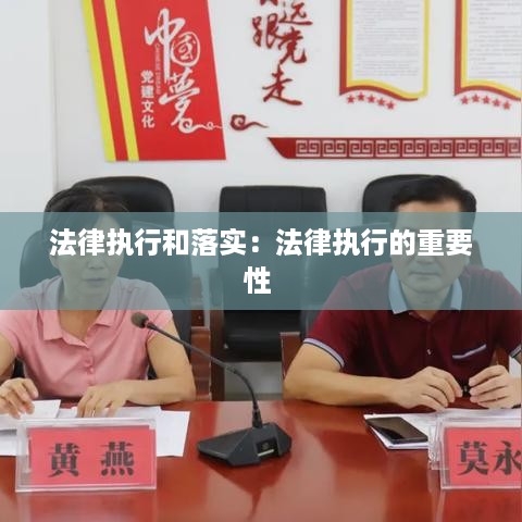法律执行和落实：法律执行的重要性 
