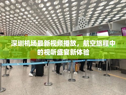 深圳机场最新视频播放，航空旅程中的视听盛宴新体验