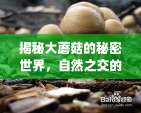 束装就道 第2页