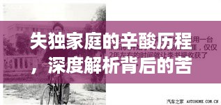 失独家庭的辛酸历程，深度解析背后的苦楚与困境