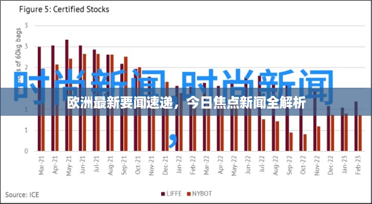 衣无二彩 第2页