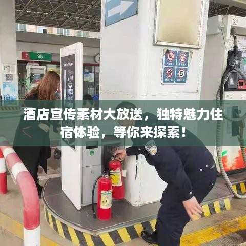 存证 第226页