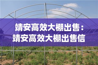 靖安高效大棚出售：靖安高效大棚出售信息 