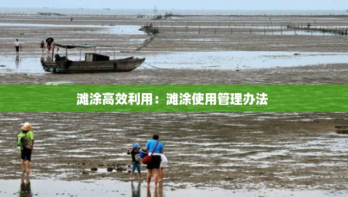 滩涂高效利用：滩涂使用管理办法 