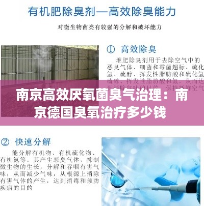 南京高效厌氧菌臭气治理：南京德国臭氧治疗多少钱 