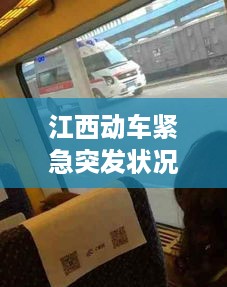 公证管理 第145页