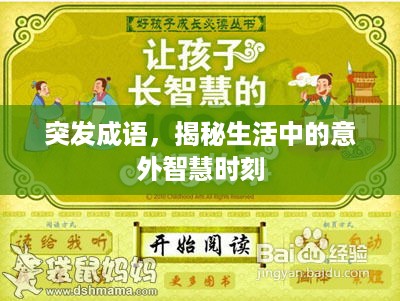 突发成语，揭秘生活中的意外智慧时刻