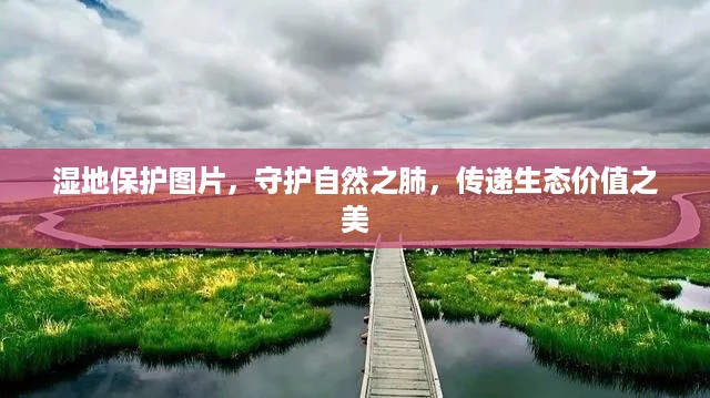 滔滔不绝