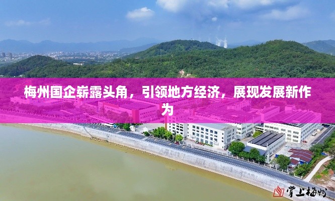 梅州国企崭露头角，引领地方经济，展现发展新作为