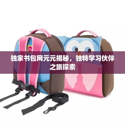 独家书包网元元揭秘，独特学习伙伴之旅探索