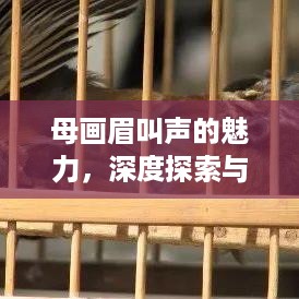 公证管理 第34页