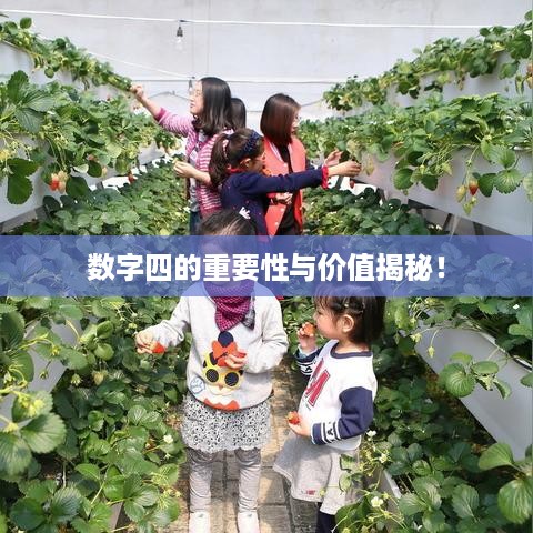 取证 第28页