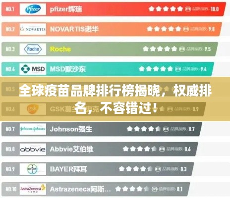 公证管理 第25页