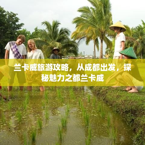 公证管理 第23页