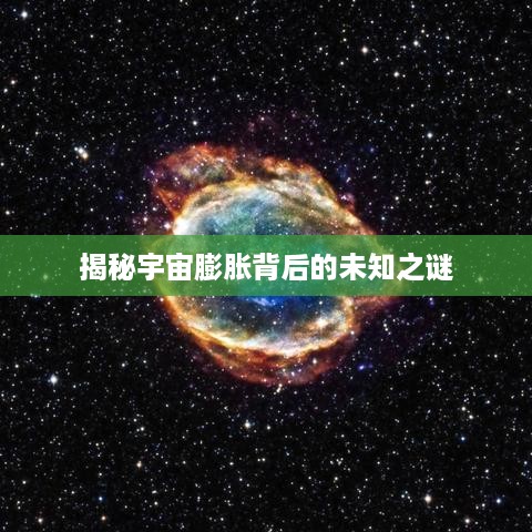取证 第21页